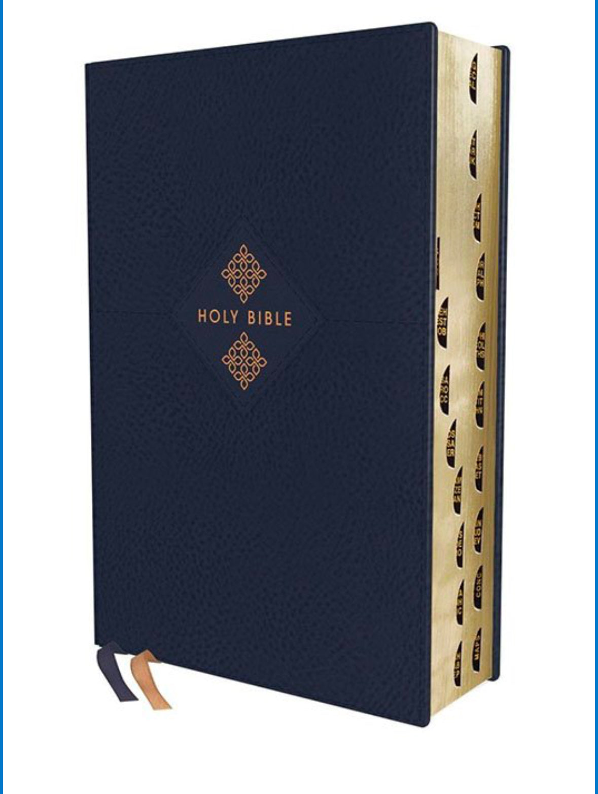NIV Grace & Truth Study Bible