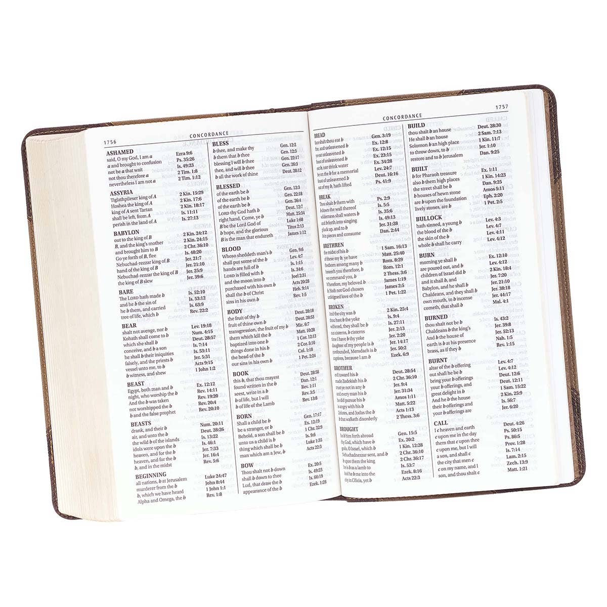 Brown Two-tone Faux Leather King James Version