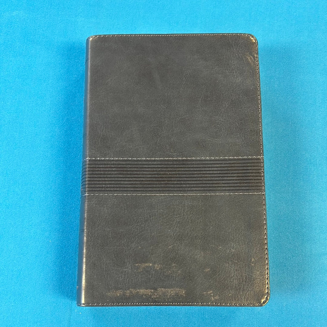 NIV Student Bible