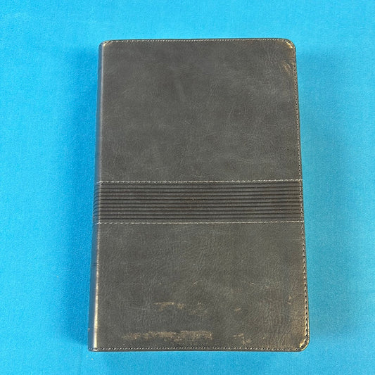 NIV Student Bible