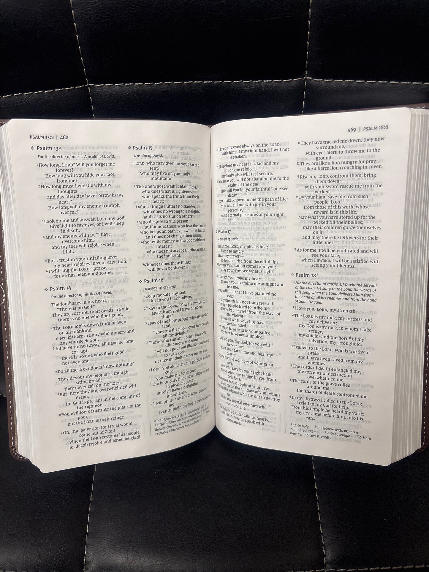 NIV Thinline Bible