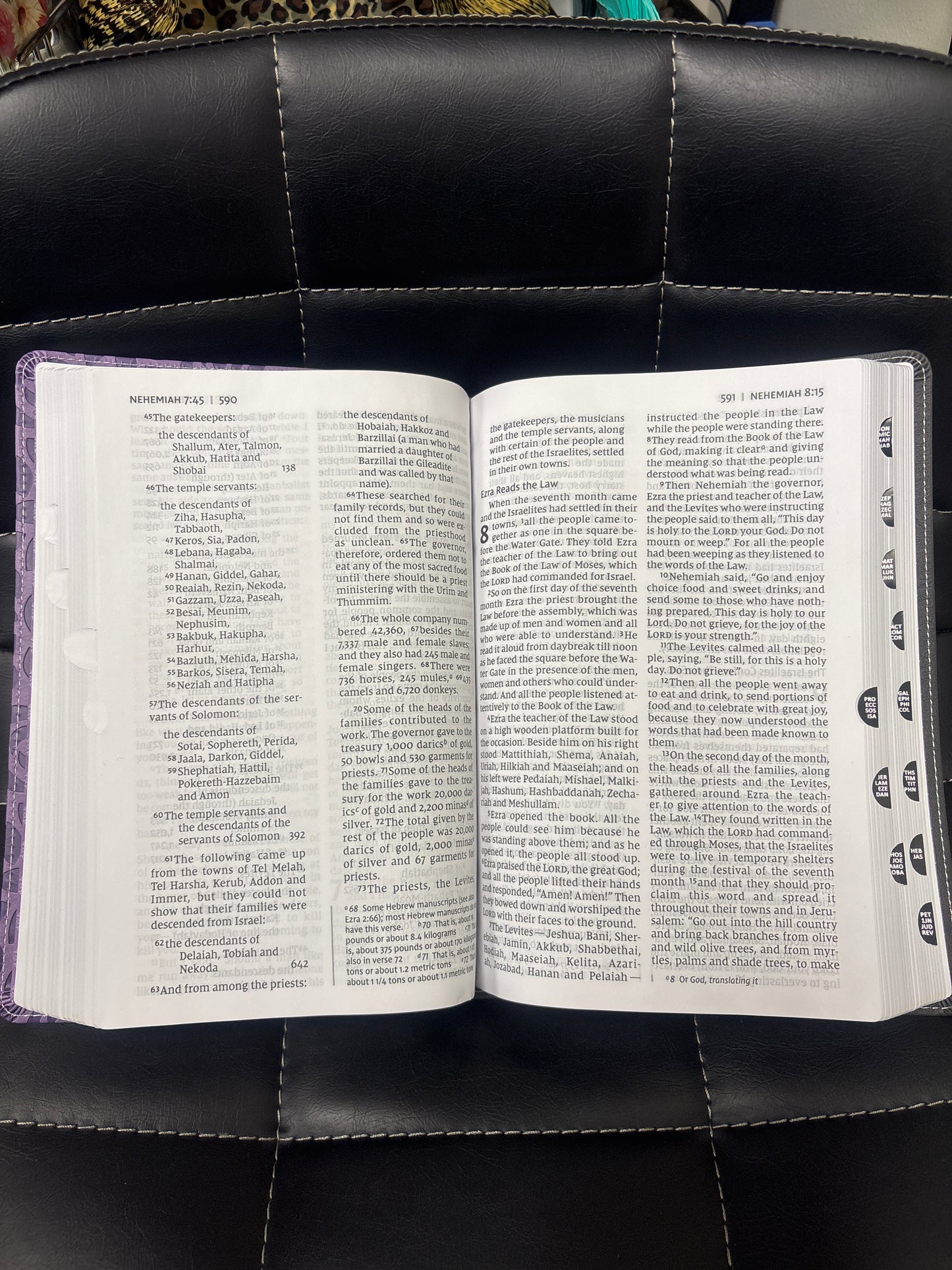 NIV Thinline Bible, Giant Print