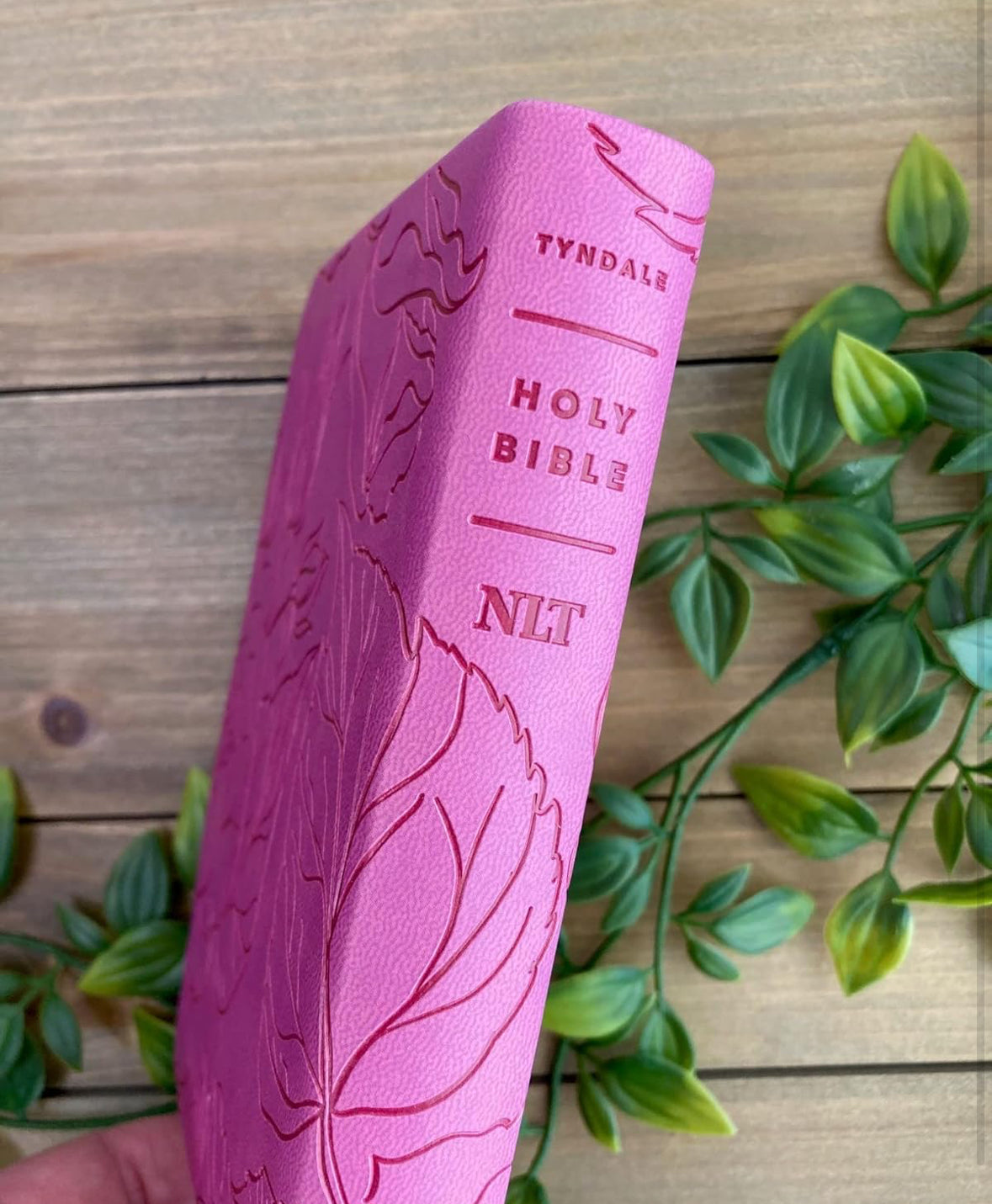 NLT Premium Value Compact Bible, Filament Enabled (LeatherLike, Pink Rose)