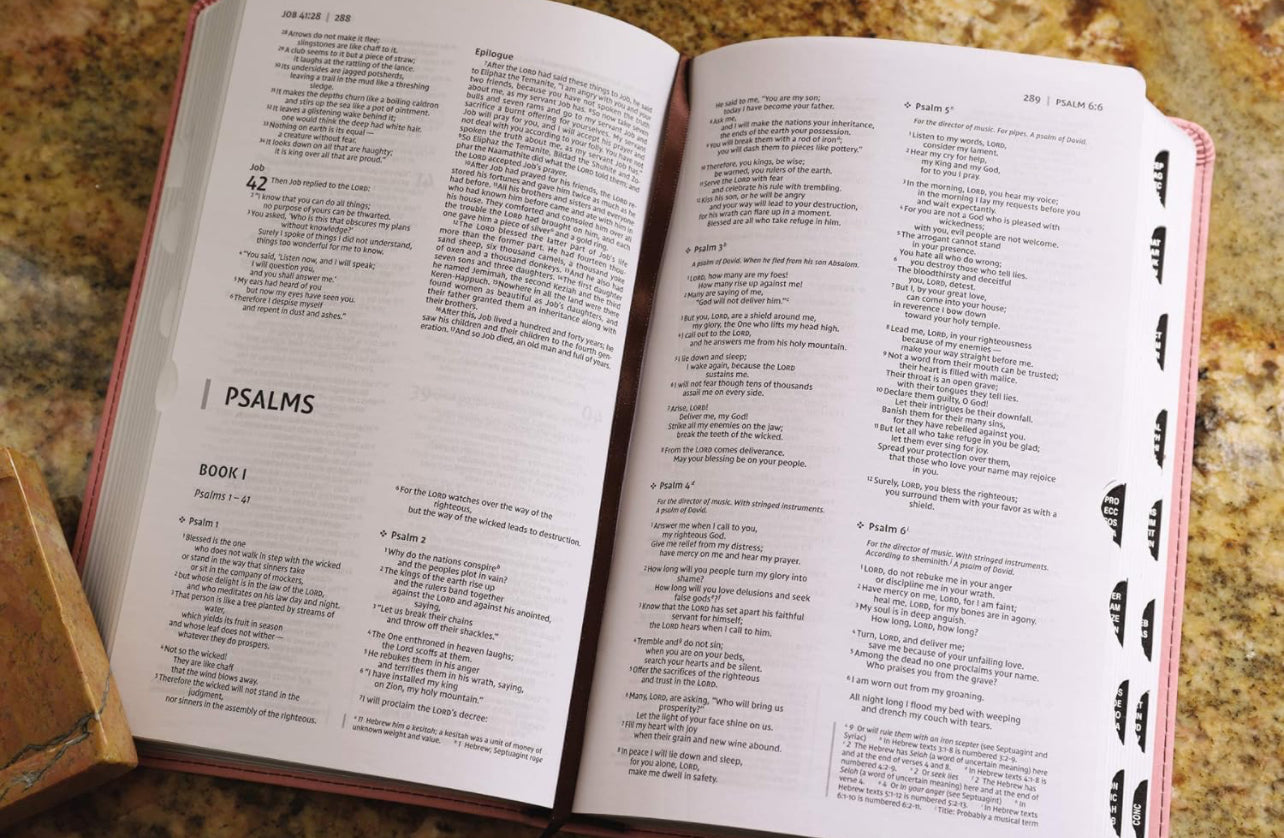 NIV, Premium Gift Bible, Leathersoft, Pink/Brown, Red Letter, Thumb Indexed, Comfort Print: The Perfect Bible for Any Gift-Giving Occasion