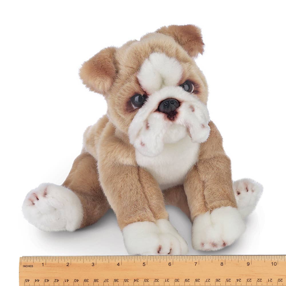 Tug the Bulldog