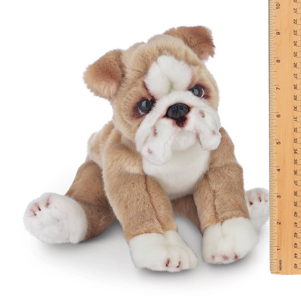 Tug the Bulldog