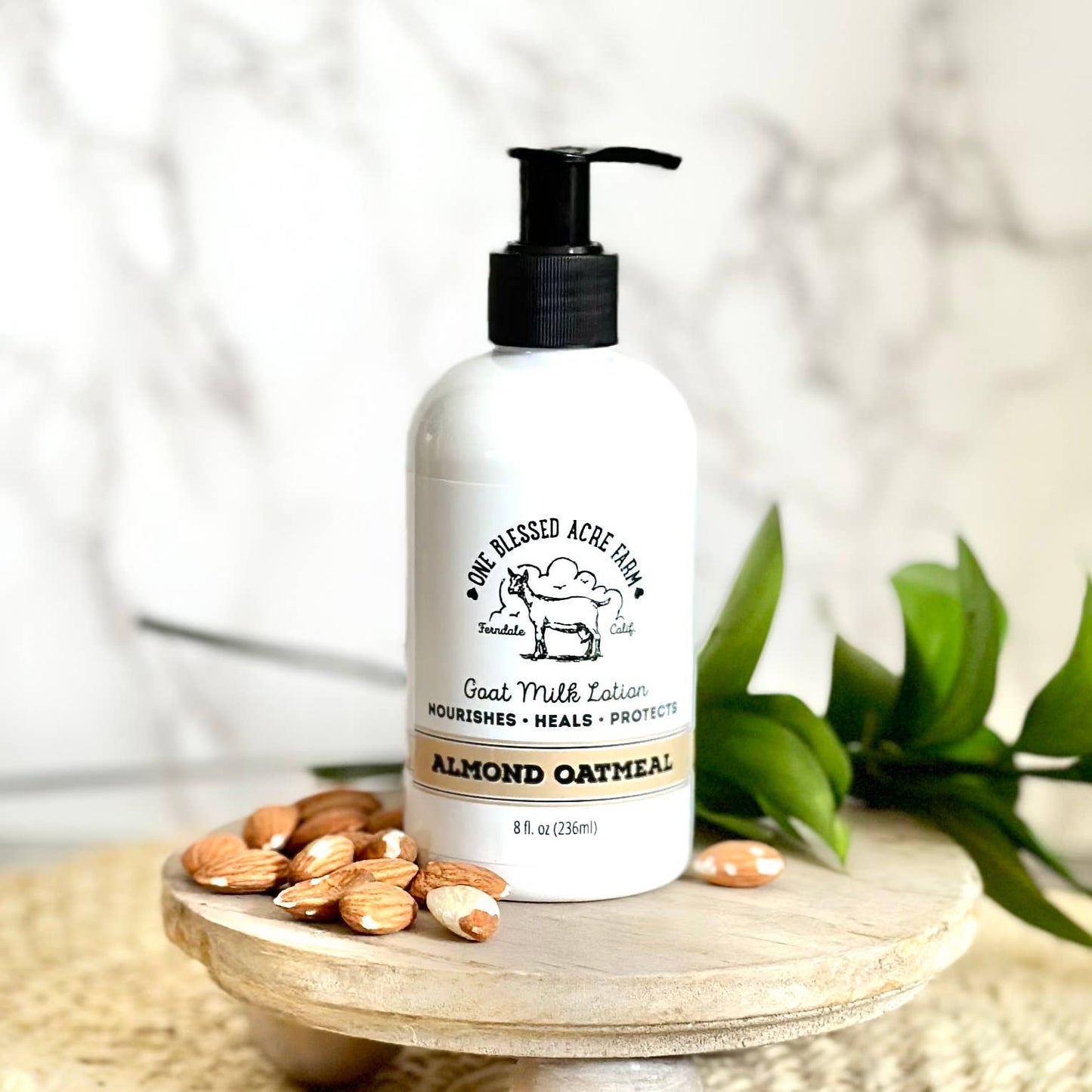 Almond Oatmeal Goat Milk Lotion