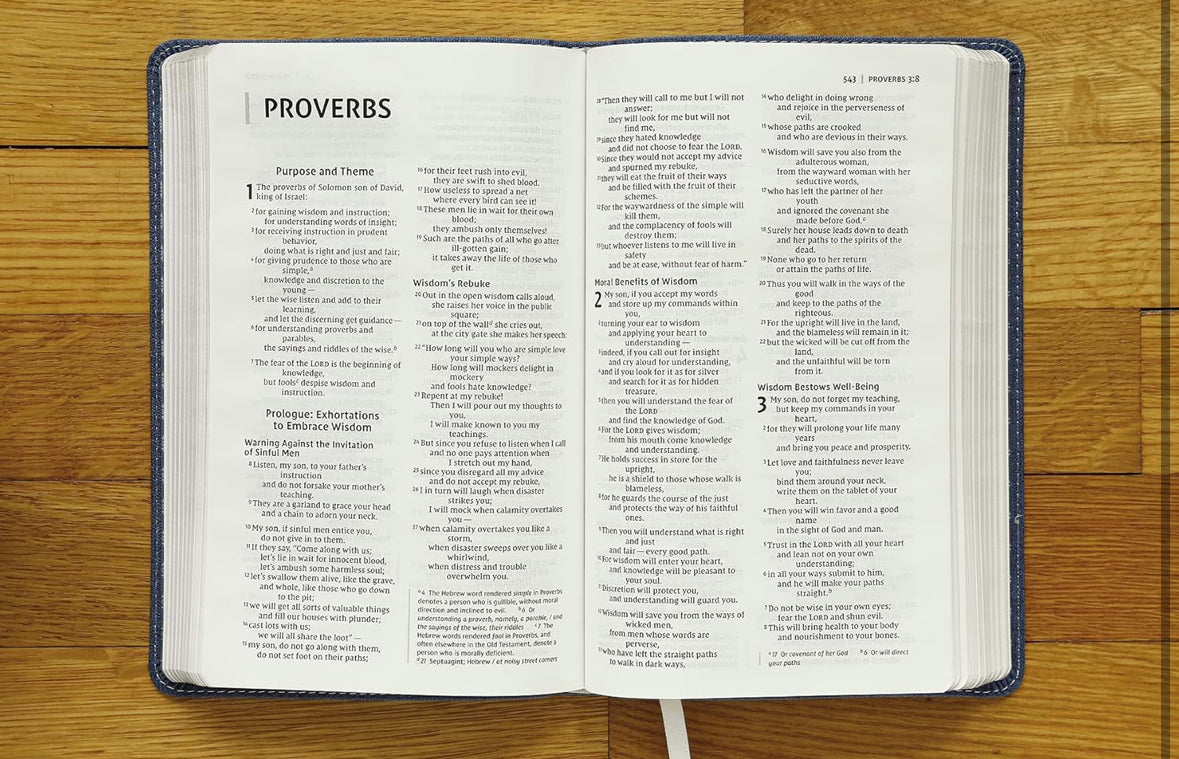 NIV, Bible for Teens, Thinline Edition, Leathersoft, Blue, Red Letter, Comfort Print