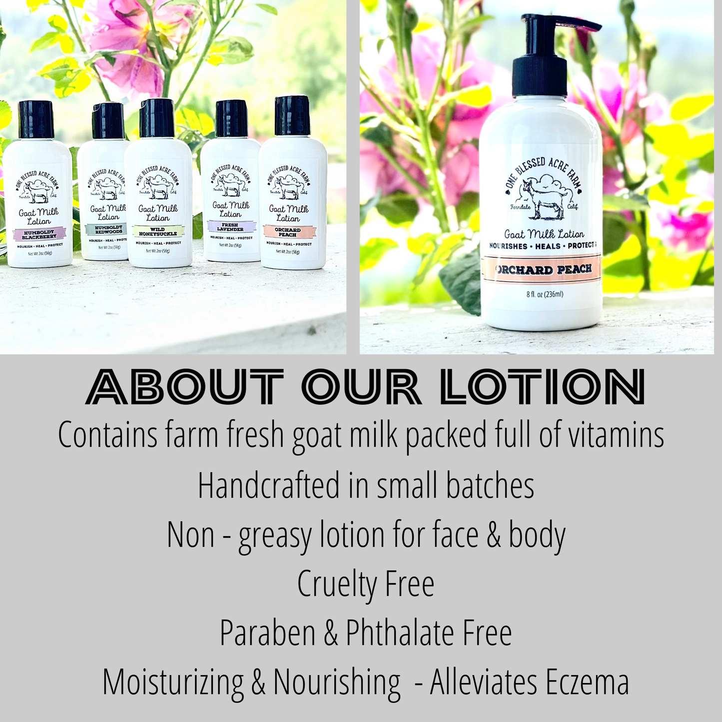 Almond Oatmeal Goat Milk Lotion