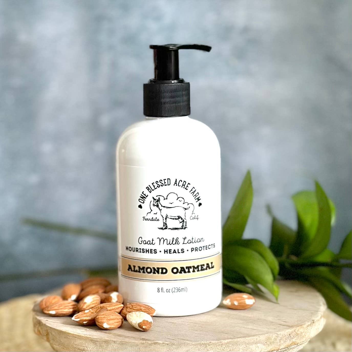 Almond Oatmeal Goat Milk Lotion