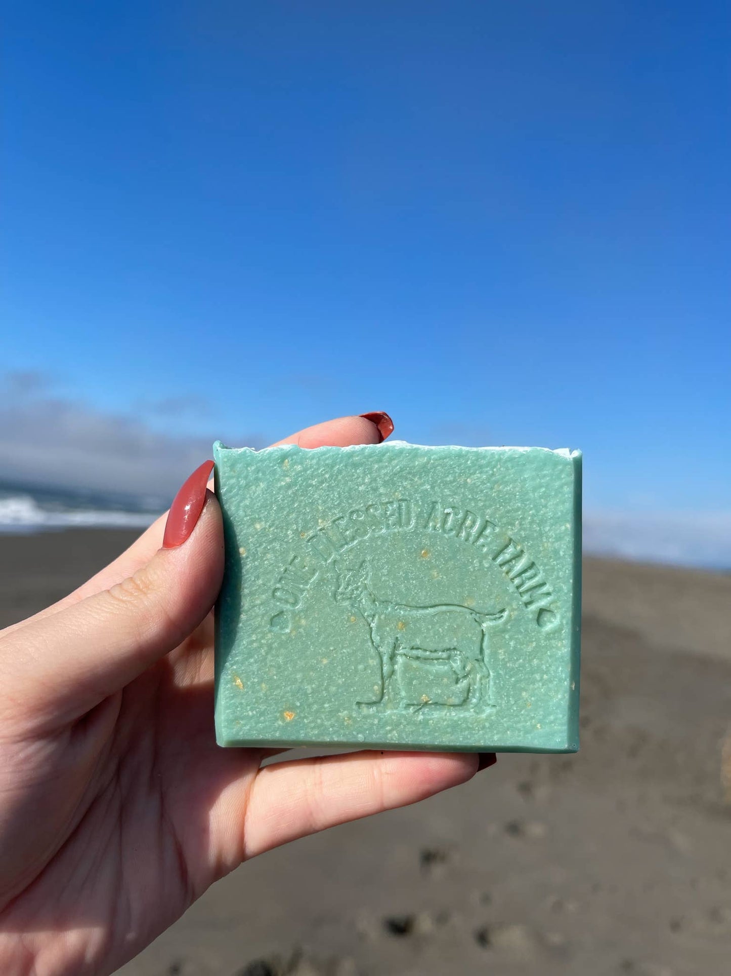 Coastal Mist Goat Milk Bar Soap
