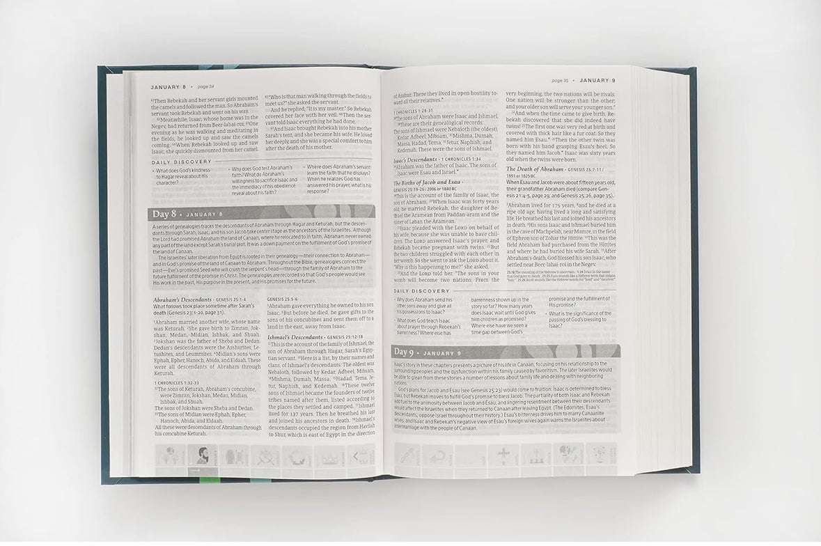 NLT One Year Chronological Study Bible (Softcover)
