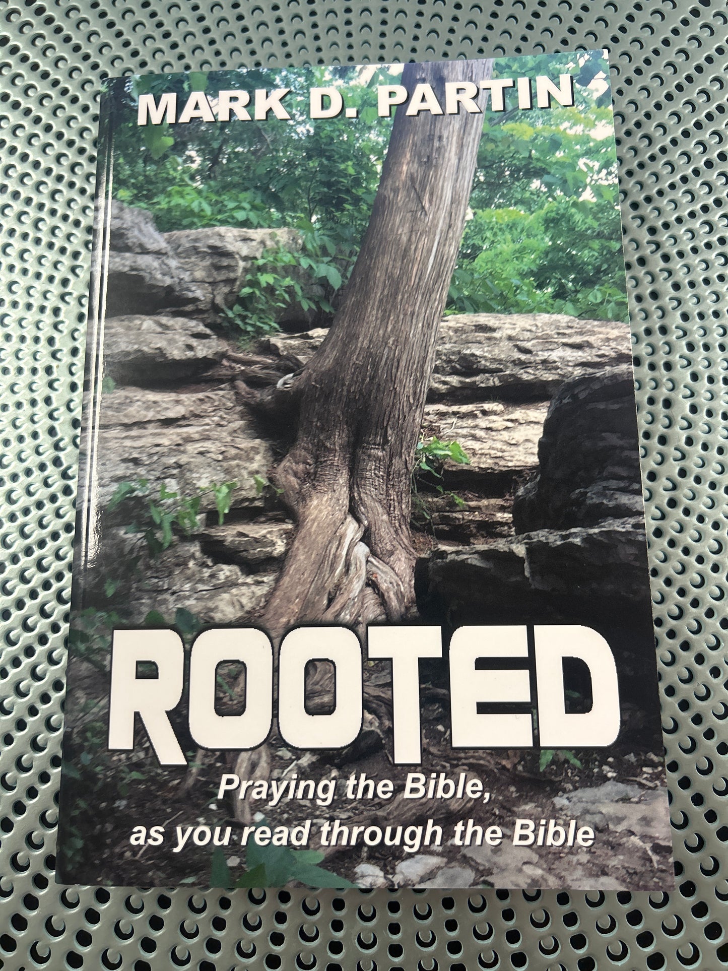 Rooted   Praying The Bible, As You Read Through The Bible