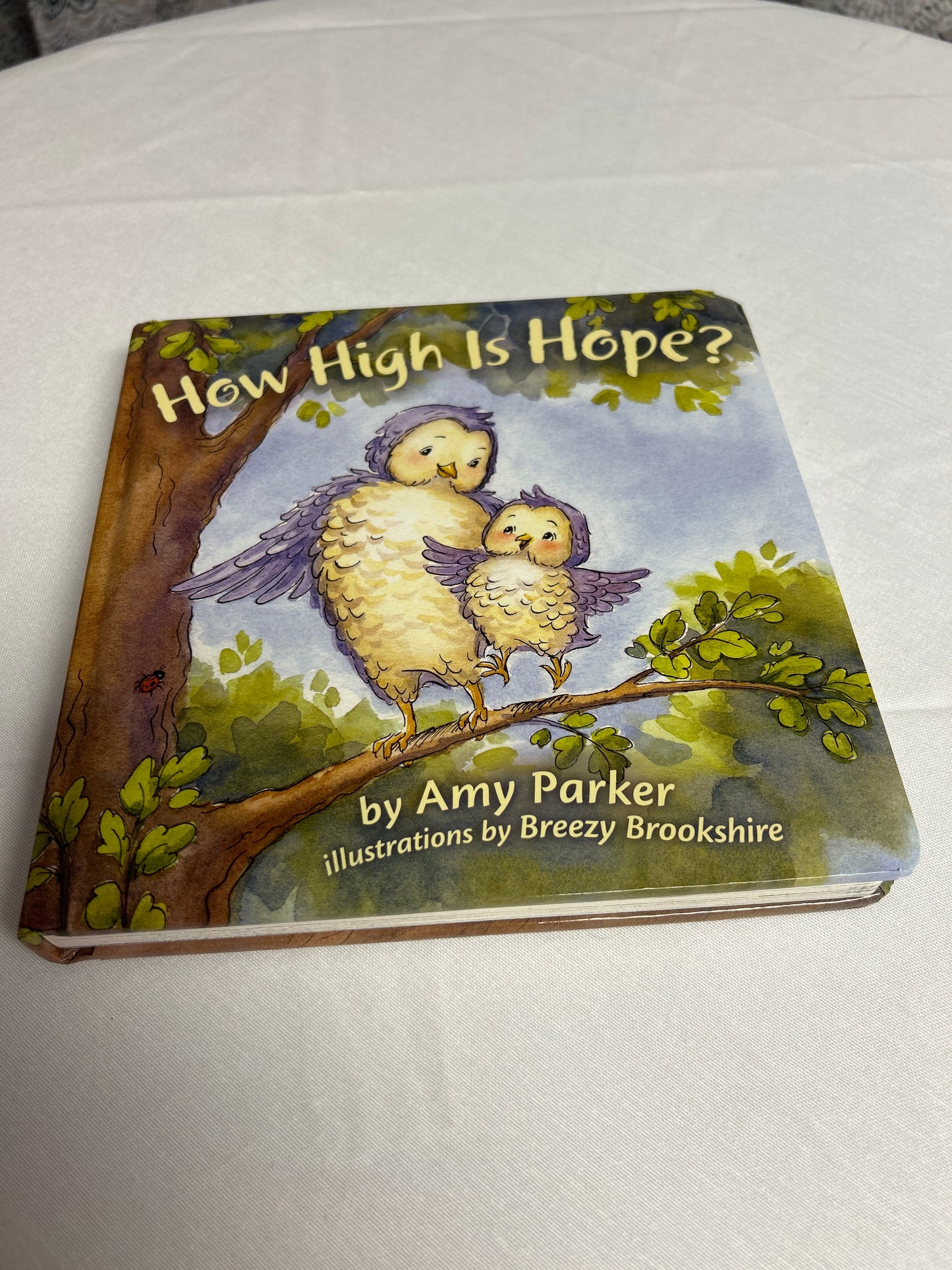 How High Is Hope?
