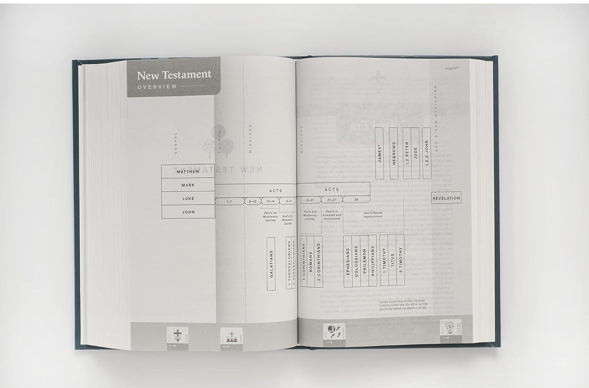 NLT One Year Chronological Study Bible (Softcover)