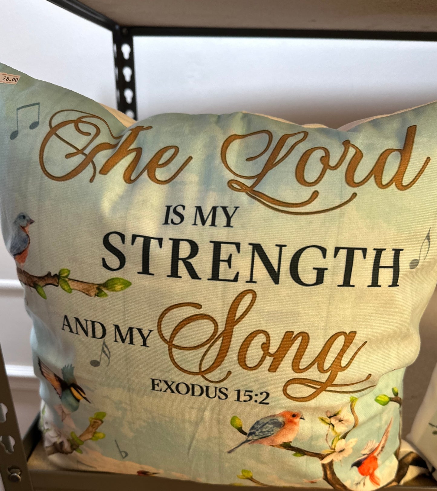 The Lord is My Strength Pillow