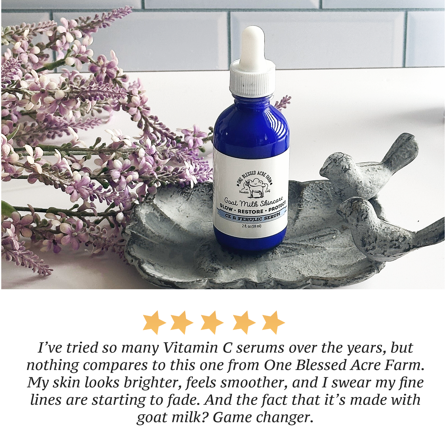 Vitamin C E & Ferulic Acid Serum
